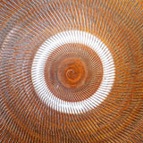 黒木昌伸窯 8寸皿(飛び鉋 飴)