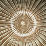 黒木昌伸窯 8寸皿(刷毛目 白)