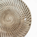 坂本工窯 8寸皿(飛び鉋 白 創)