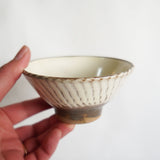 坂本工窯 4寸飯碗(刷毛目 白 創)