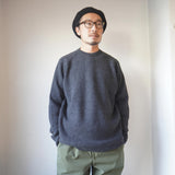 DELICIOUS DAILY PULLOVER sweatshirt