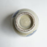 Yachimun Ken Sugawara 4.5 inch bowl