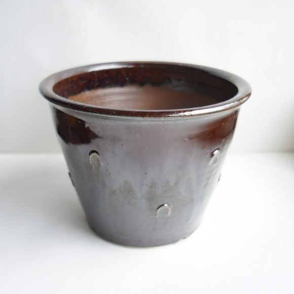 ヒネモスノタリ　植木鉢（6寸　A）